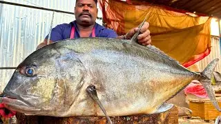 KASIMEDU SPEED SELVAM BIGGEST TREVALLY FISH CUTTING VIDEO CUTTING FOCUS