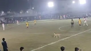 AREY DOGESH BHAI 🐕 AAP FOOTBALL ⚽ MATCH ME