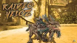 RAIDEO A TRIBU ALPHA EN CONSTRUCCI&Oacute;N! (Small Tribes) | ARK PC