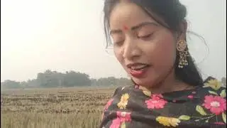 Hello mere pyare doshto