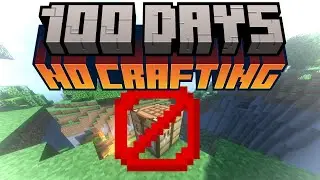 Minecraft, But I Survived 100 Days Without Crafting Anything!