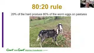 StockSense webinar on worms & vaccinations from goatvetoz