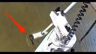 Does Boat Noise Really Scare Fish? Underwater Test Results