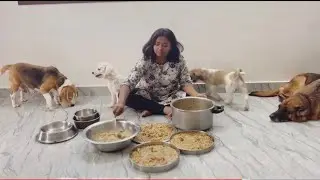 New way of preparing Homemade Dog Food Tamil | Do this for better health