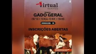 Remate de Gado Geral