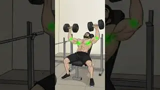 BUILD Chest Muscle Fast with This Simple Workout 🔥 | chest workout