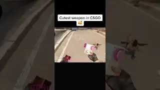 Would you buy this skin for your girlfriend? 😂 (via CSGOholic) #gaming #csgomoments #csgomemes