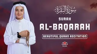 Surah Al-Baqarah (سورة البقرة) | Soothing Quran Recitation for Home Protection & Inner Peace012