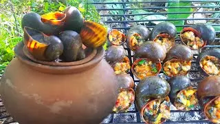 Survival Skills - Best Adventure In Jungle Cook A lot Snails Recipe Eating Delicious