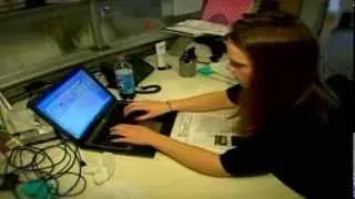 The Background Check Scam