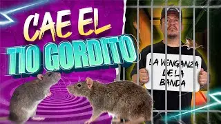 Cae el &ldquo;TIO GORDITO&rdquo; (La venganza de la banda)😈