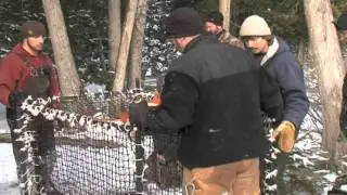 Michigan Predator Prey 376