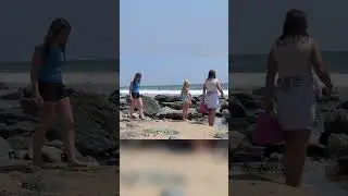 Beach Exploration: Discovering Crabs and Ocean Wonders!
