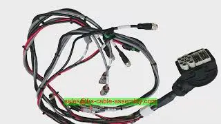 Cable Harness Factory Portable Health Console Cable Trd815Ra15Red-5 Df30Rc-10Dp-0.4V(81) Jae Connect
