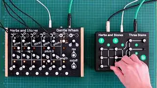 Gentle Wham, Solid Felt, Three Stems, Pathways