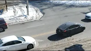 Cozy Automobile | Non-Stop Action | Cars & Trucks | #