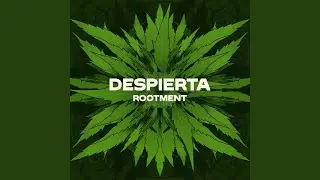 Despierta