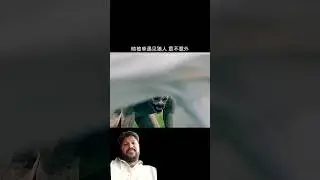 Bhedye ne kiya train par hamla #movie #movieclips #film #godzilla #wolf #bhediya #horrorstories