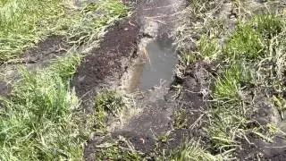 Drain Field Repair by 