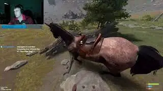 Stream Day #7 :  Rust Wipe Day!