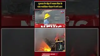 Gujarat Rice Mill Fire: गुजरात के राइस मिल में लगी भयंकर आग, चारों तरफ धुआं-धुआं फैला