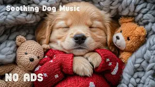 12 часов музыки для успокоения собак 🐶🧸 Расслабляющая музыка для собак 💖 против тревоги разлуки ⭐