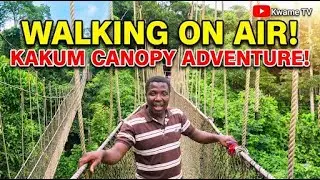 Walking On Air! The Kakum Canopy Walk Experience