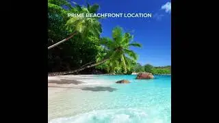 Invest in Paradise