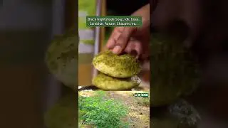 🌱🌱manathakkali 🌱🌱powder available to order our farm fresh products check www.organicfarmer.store 👍😊