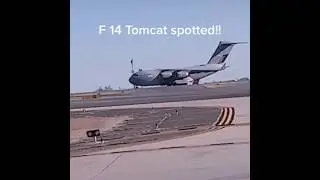 My video on TikTok had 30,000 views in 5 hours
