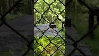 Mysterious Underground Bunker Hidden in The Great Smoky Mountains #shorts