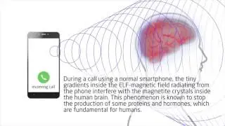 BioZen A NEW TECHNOLOGY   Protect yourself with our innovative BioZen chip
