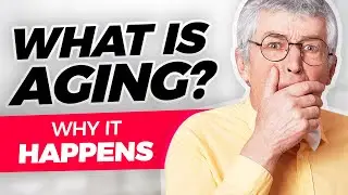 Why Do We Age? Biological, Emotional, Physiological, and Spiritual Aspects of Aging