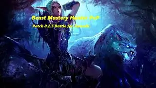 WoW BFA / Beast Mastery Hunter BFA / PvP / 3v3 Rated Arena / Patch 8.2.5