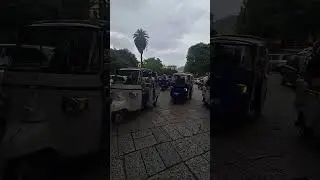 Visit Palermo city center aboard an Ape Tuk Tuk with Ape Tour Palermo Number One