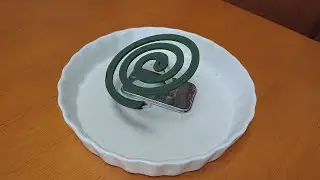 ダニには蚊取　が効くのだぁ