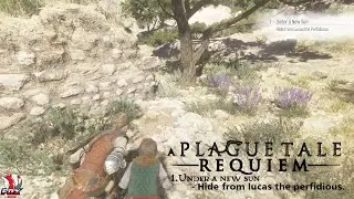 A Plague Tale Requiem | 1.Under a new Sun - Hide from Lucas the Perfidious