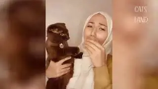 OMG So Cute Cats &hearts; Best Funny Cat Videos 2020 #50