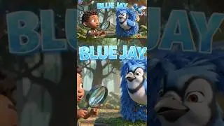 Robin & Blue Jay 🐦 Beautiful Birds Learning About Our Feathered Friends | The Amazing Bird Explorer!