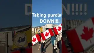 🇨🇦 TAKING DOWN Purolator #canadapost #strike