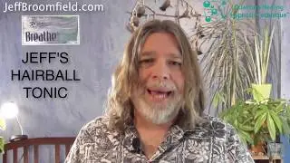 QHHT Experiences - Past Life Regression - Jeff's Hairball Tonic