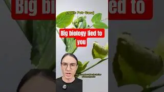 Жизнь не обращает энтропию вспять