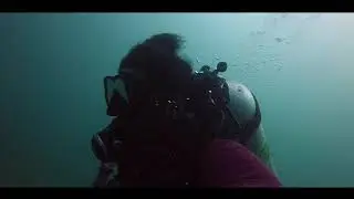 Pericles Shipwreck | Alghais Diving center | Qatar scuba diving