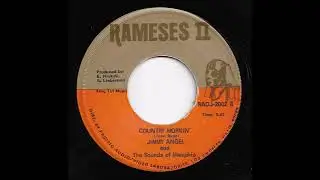 Jimmy Angel & The Sounds Of Memphis - Country Mornin'