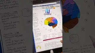 Free iPad note taking apps for students 😍  | study with me | digital planner | apple