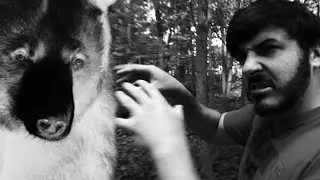 Gary's Bear Story