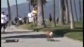 bulldog skateboarding TILLMAN
