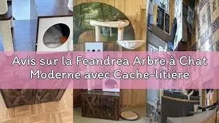 Avis sur la Feandrea Arbre &agrave; Chat Moderne avec Cache-liti&egrave;re, Tour de Jeu, Griffoir avec Maison de T
