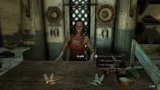 The Elder Scrolls V