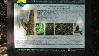 Jedziemy autem odwiedzić CZARNOCIN kStrzelec Opolskich i okolice 23 09 2019 r